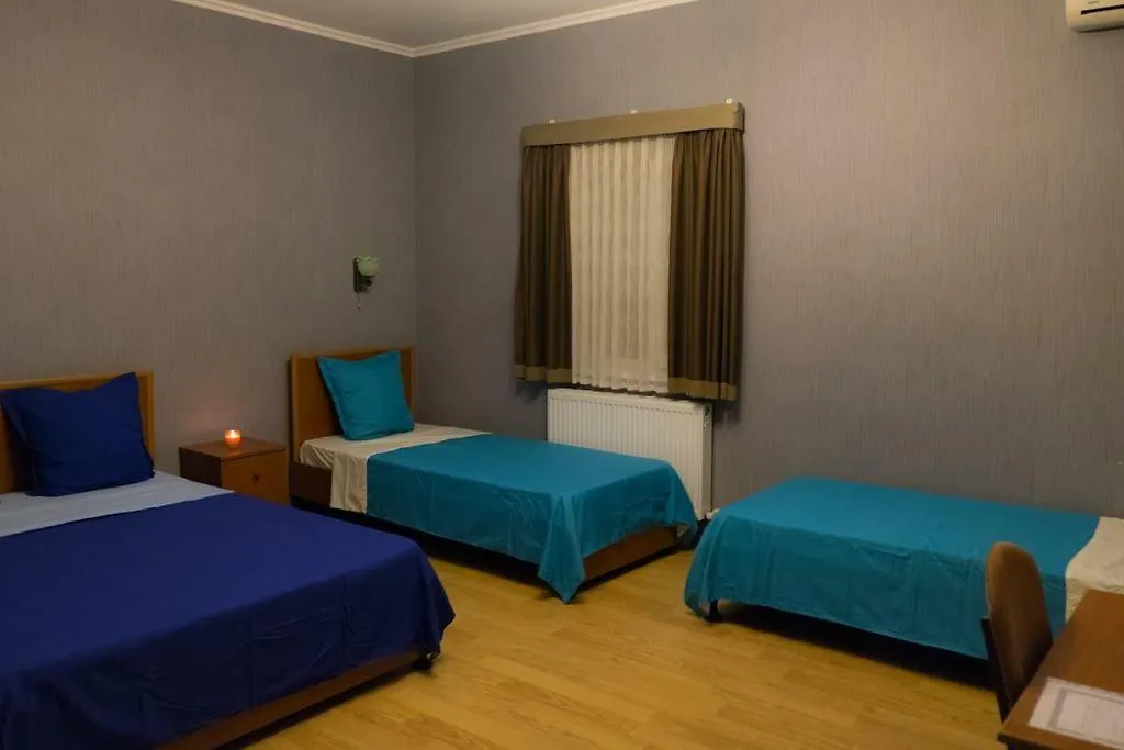 Eurasia Hotel Tbilisi 3*,  Georgia